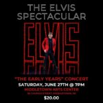 The Elvis Spectacular Concert Ticket